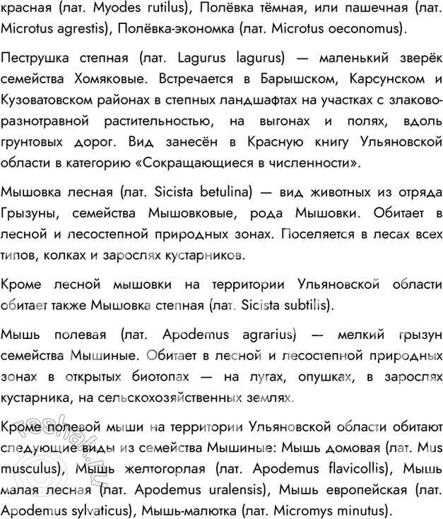 Дополнительное изображение
