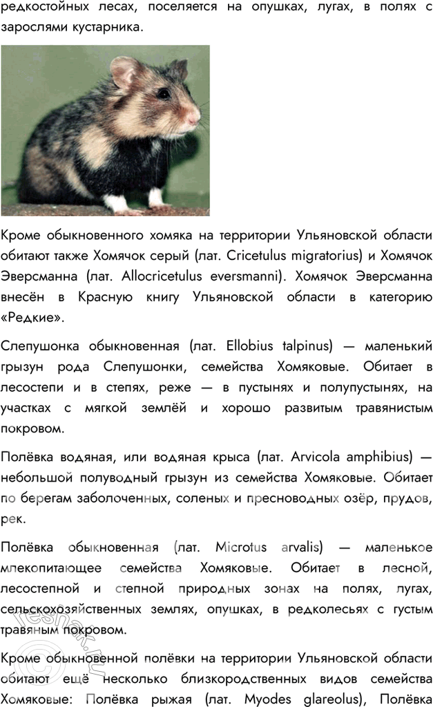 Дополнительное изображение