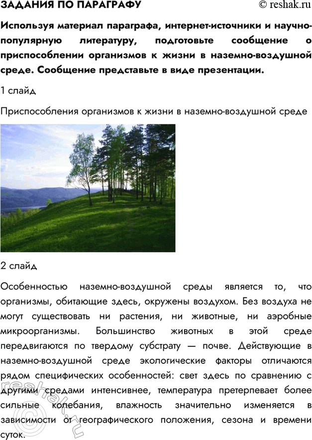 Дополнительное изображение