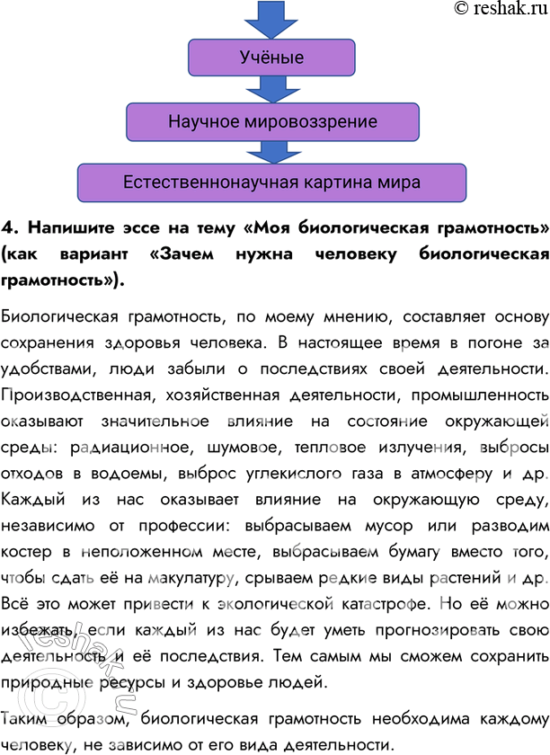 Дополнительное изображение