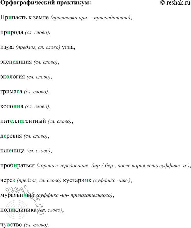 Изображение Орфографический практикум 38 ГДЗ Рыбченкова Александрова 7 класс